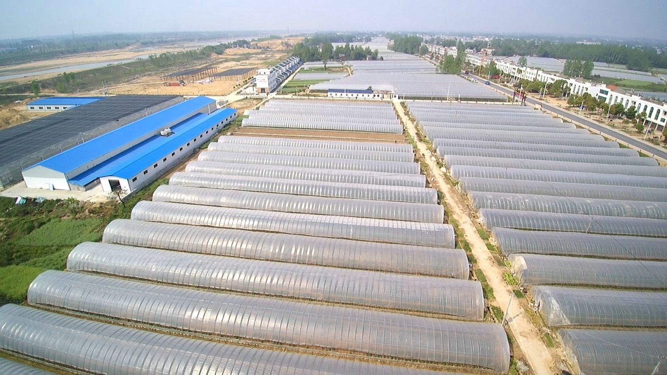 阻燃劑AP1030系列